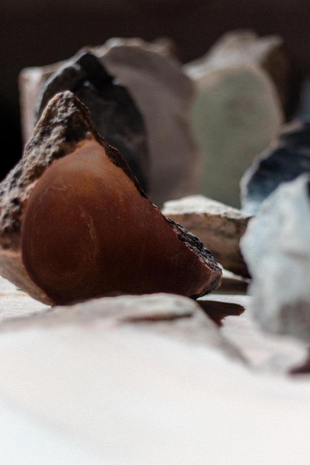 Photo by Antônio Frederico Lasalvia